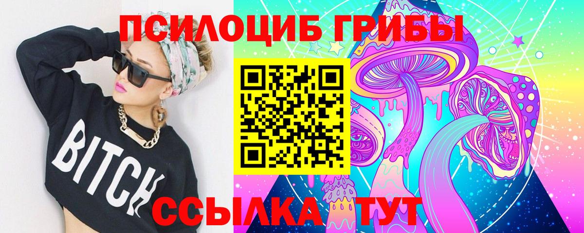 Псилоцибиновые грибы мухоморы Калининград
