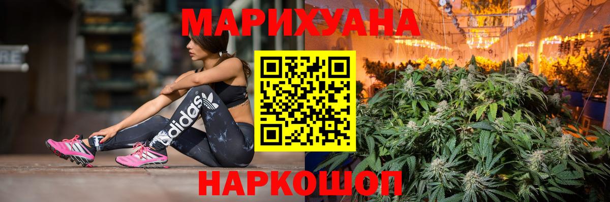 Канабис ГИДРОПОН Калининград